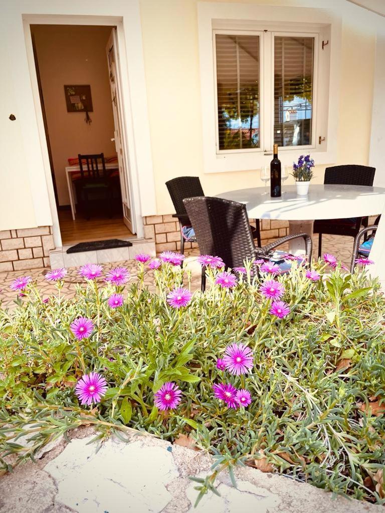 Velebit Apartments Dramalj Rum bild