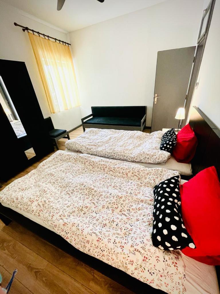Velebit Apartments Dramalj Rum bild