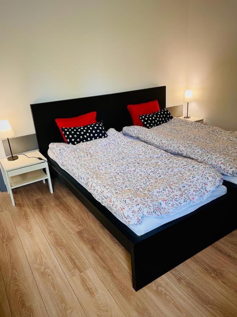 Velebit Apartments Dramalj Rum bild